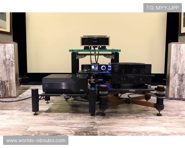 欧博11最新玩法介绍,全面解析欧博11的游戏规则与技巧 欧博11最新玩法介绍,全面解析欧博11的游戏规则与技巧