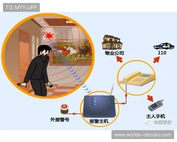 欧博官网入口安全漏洞防范措施详解有效防止数据泄露和非法入侵